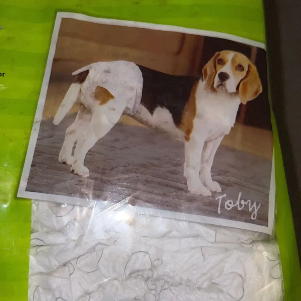 Top Paw Disposable Diapers - 12 pk Size Medium